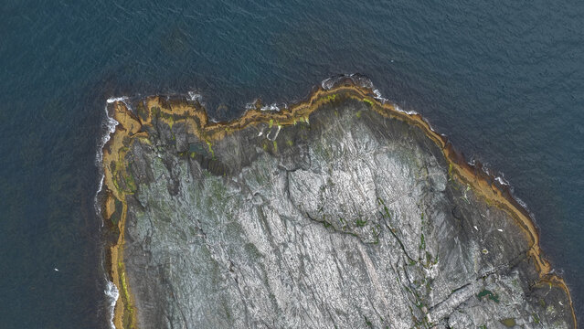 Aerial, top down view, bird view, above husoy island. Rocky coastline with small waves Small island, some algae growing. Some seagulls flying below.