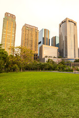 Obraz premium The view of Chatuchak Park against the Bangkok skyline.
