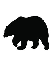 Fototapeta premium black american bear
