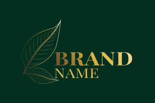 Modern Minimal Logo Design
