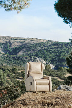 Elegant beige wingback armchair placed in wild green nature landscape