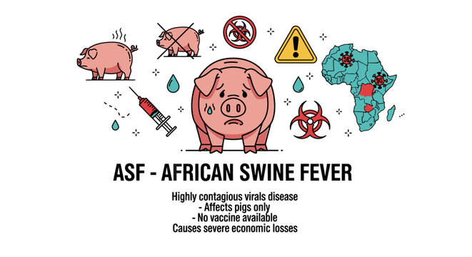 African Swine Fever (ASF) medical infographic with pig icons and Africa map.