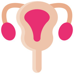 Uterus