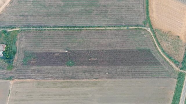 Ginosa, Italy. Harvesting a field with a combine harvester in the light of the evening sun. Drone footage, HEAD OVER SHOT