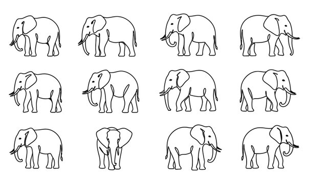 modern abstract elephant collection in different poses_26