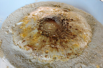 Preparing a parasol mushroom schnitzel: a mushroom cap with breadcrumbs on a plate
