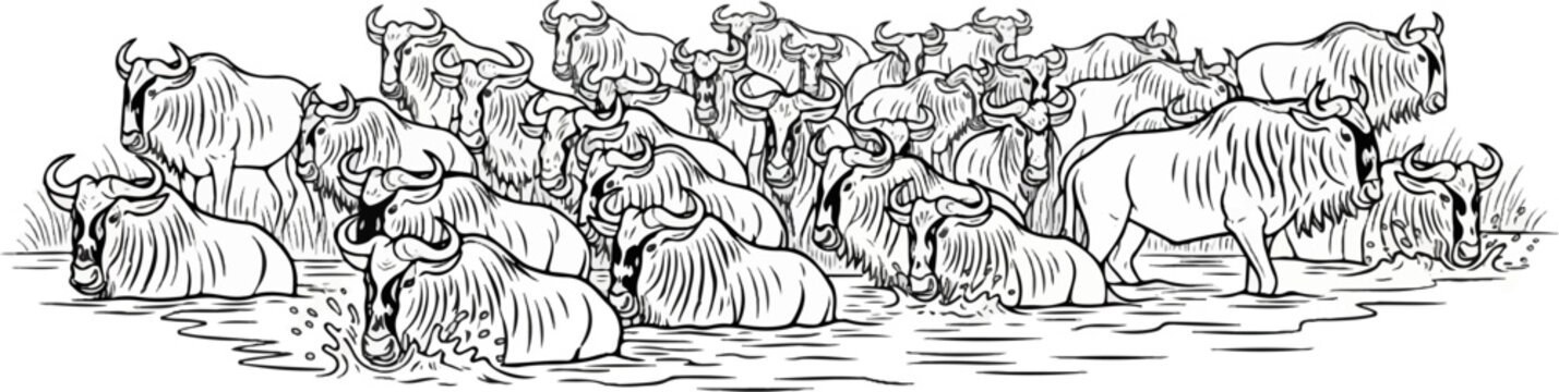 A herd of wildebeests wading through water and reeds