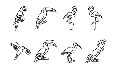 Fototapeta premium Bird line drawings set
