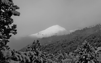 mountain landscape with fog