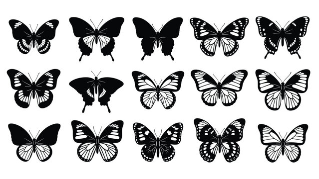 Detailed black and white butterfly collection showcasing intricate wing patterns and various symmetrical flight poses.