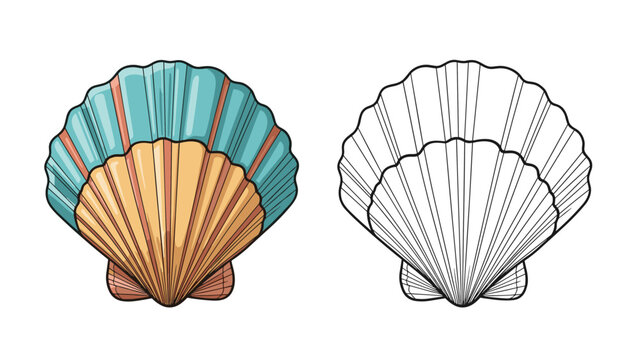 Illustration of a bivalve scallop shell shown in both vibrant colors and as a detailed black line art drawing for marine art.