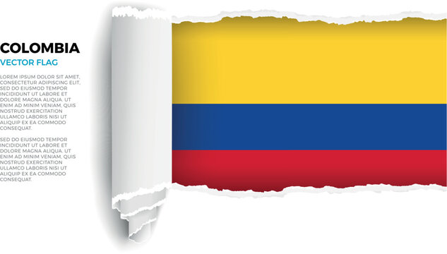 Flag of Colombia. Flag revealed through torn paper rolled up on a transparent background