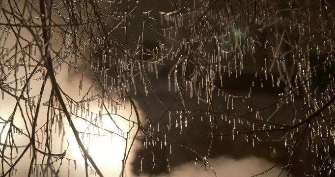 Cinematic winter video of frosted branches with hanging icicles illuminated by soft evening light. Subtle mist moves through the cold air, creating depth and atmosphere. Warm sunset highlights contras