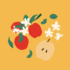 flat blossom apple with leaves illustration 