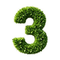 Number three made of green leaves on white background