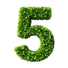 A large green number five made of leaves on a white background