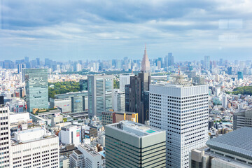 Fototapeta premium Tokyo skyline with modern skyscrapers and urban park under dramatic cloudy sky 
