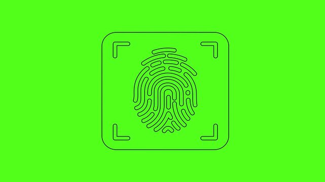 Fingerprint Biometric Scan Security Verification Vector Line Art Icon Animation on Green Screen