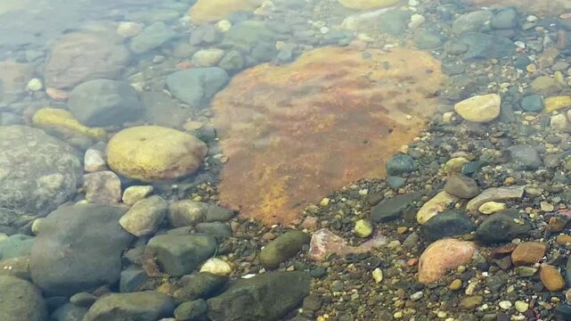 Sylhet riverbed colorful pebbles under crystal clear water Khasi Hills Bangladesh, serene underwater landscape.