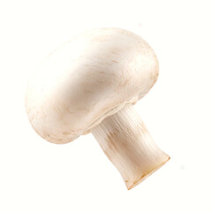 Fresh white button mushroom isolated on a white background