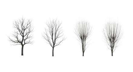 Obraz premium four isolated winter botanical elements: two bare gnarled deciduous trees and two delicate leafless willow bushes arranged as a graphic collection against a transparent background. concept for