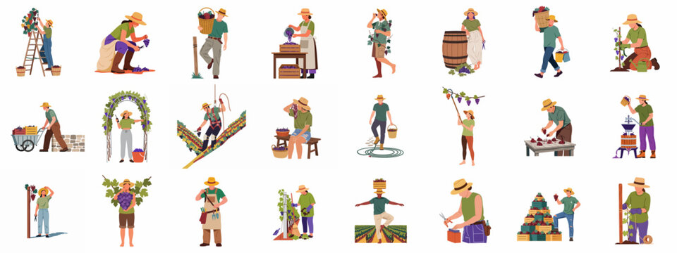 Collection of Illustrations Depicting Vineyard Workers and Farmers Engaged in Grape Harvesting, Winemaking Process, and Vine Cultivation Activities.