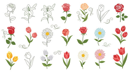 Hand-Drawn Floral Elements: Roses, Tulips, Daisies, Lilies - Vector Illustration