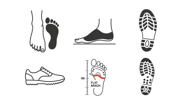 Foot Anatomy and Shoe Fit: Flat Arch, Sole Print, and Sneaker Illustration