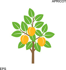 Apricot tree logo. Isolated apricot tree on white background