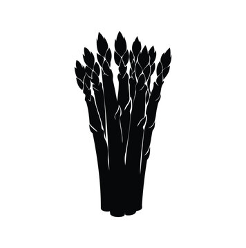 A bunch of asparagus stalks with tips, silhouette vector illustration, asparagus silhouette vector illustration