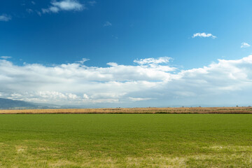 Green Field with Dry Grass Row and Mountain Landscape Photo