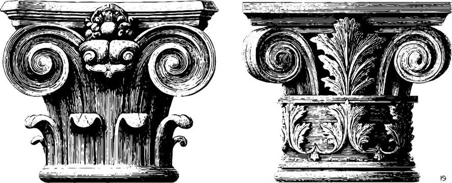 Vintage engraved illustration of corinthian capitals with acanthus design for art and architecture