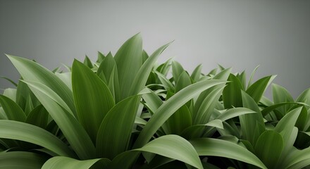 Obraz premium lush green leaves, natural foliage, vibrant plant life, fresh growth