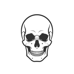 Fototapeta premium A stark black and white illustration of a human skull with detailed features