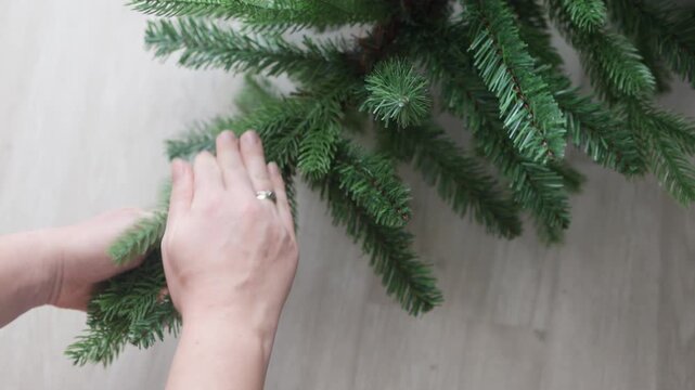 Sustainable Living hands folding green branches of artificial spruce for compact storage.Responsible Sustainable Living practice involve reusing synthetic Christmas tree to reduce environmental impact