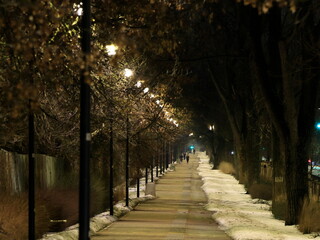Wieczorny spacer oświetloną alejką © Grzegorz