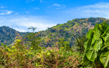 Thailand Tropical mountain hill rainforest palm trees clouds blue sky.