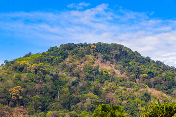 Fototapeta premium Thailand Tropical mountain hill rainforest palm trees clouds blue sky.