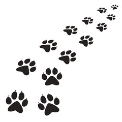 Fototapeta premium paw prints in the sand