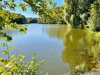 Pond in the Southern Park in Kaliningrad in autumn