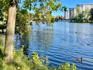 Pond in the Southern Park in Kaliningrad in autumn