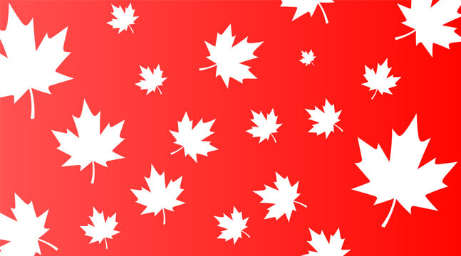 White maple leaves pattern on vibrant red gradient background. Autumn fall foliage background for Canadian celebration or seasonal theme.