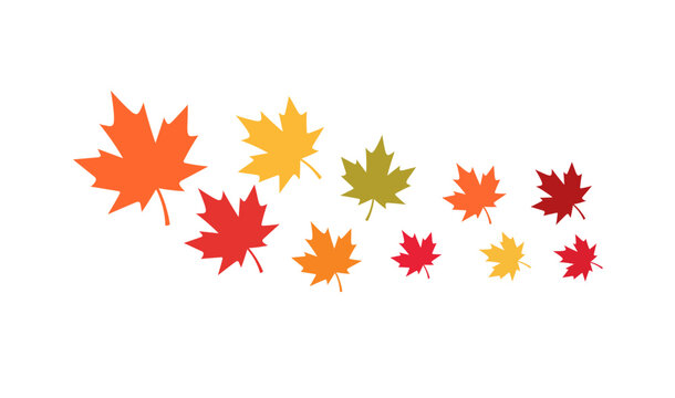 Scattered autumn maple leaves vector illustration set. Fall foliage elements in red, orange, and yellow isolated on white background.