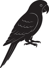 Fototapeta premium Bird Illustration Vector Design