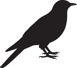 Fototapeta premium Bird Illustration Vector Design