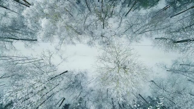 Drone glide above hoarfrost coated woodland revealing quiet road and parallel power line in frozen landscape.