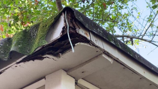 Damaged house roof corner with moss and lichen, rotting fascia and soffit, showing neglect, leak risk and repair needs.