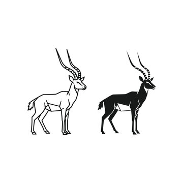 Silhouette comparison of two different types of antelope standing side by side