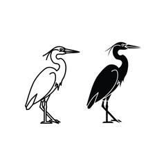 Obraz premium Contrasting silhouettes of two distinct bird species standing side by side.