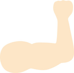 근육 팔운동 아령 